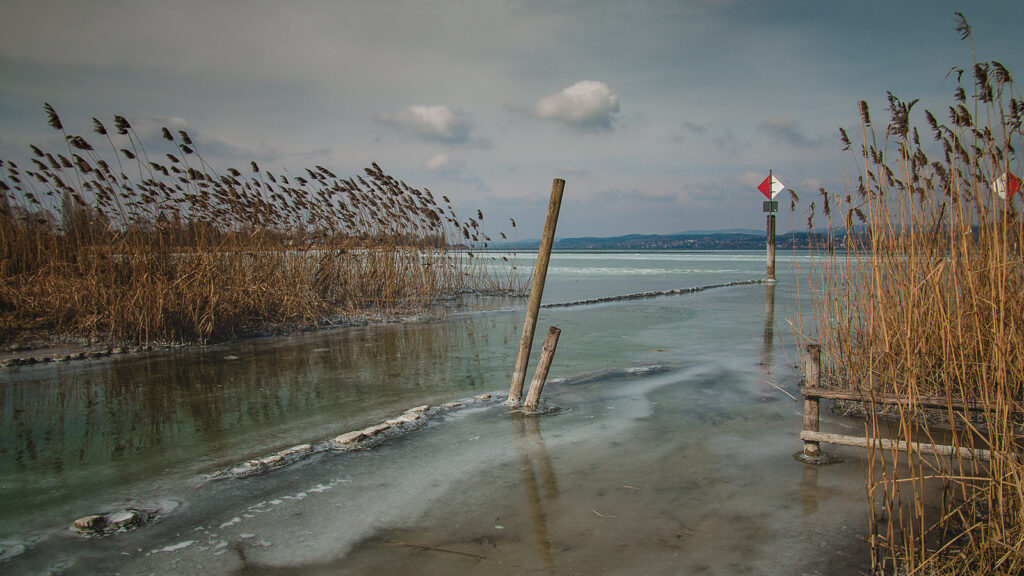 _MG_8522_web_ohne